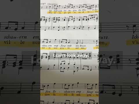 Giulio Cesare in Egitto by Handel  " V’adoro pupille" #cleopatra #soprano #opera #classicalmusic