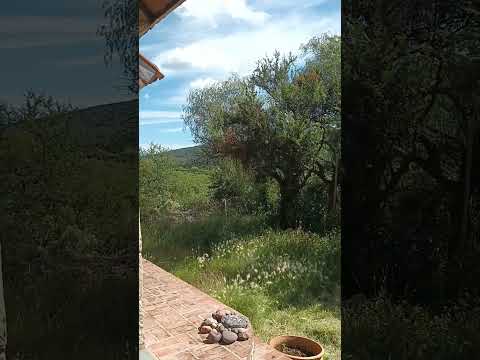 Magnífica Residencia ¡oportunidad Únic210.000 Usd (se Escuchan Ofertas) Zona De Los Hornillos Cba