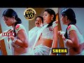 Unforgettable Moments Actress Sneha Shines In This Stunning Video Sneha