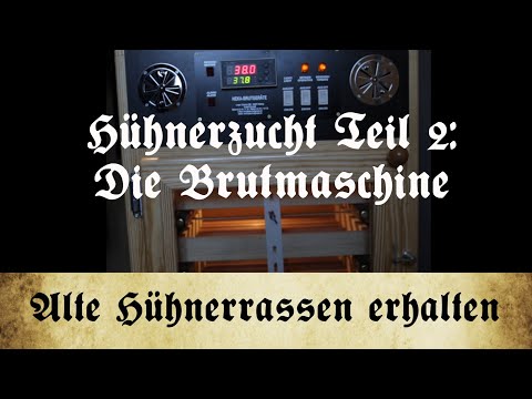 Zucht alter Hühnerrassen - Teil 2: Die Brutmaschine