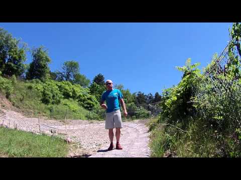 This Week @ Hardwood - Canada Day Long Weekend