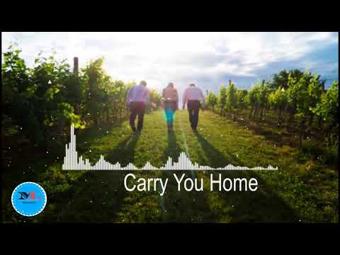 Carry You Home (Tribute Version)  By Martin Hall feat. Hanna Stone, Dag Lundberg[ Acoustic Group,]