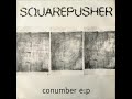 Squarepusher - Eviscerate (version)