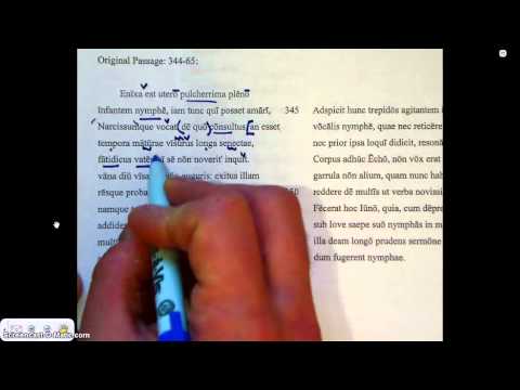 Ovid Young Hunter Pars Prima