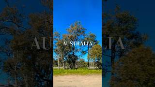 気分爽快✨️美しい景色を見ながら1分で気分をリフレッシュ🌿オーストラリア旅行🇦🇺Australia/Perth/Drive/travel #refreshing