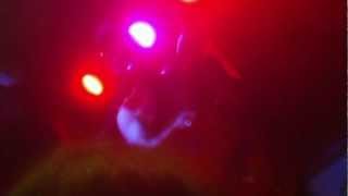 My Brightest Diamond- Magic Rabbit (Live)