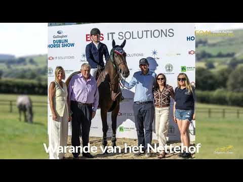 Lot 7