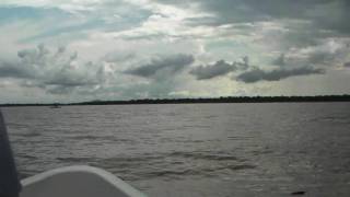 preview picture of video 'Tarpon fishing in RioColorado'