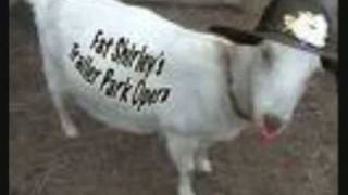 Björn Rosenström - Egon fyller 5 år (Bilder)