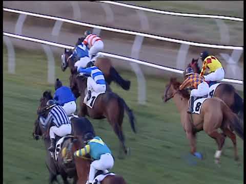 Galoppo 09/01/2019 - 3ª corsa