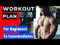 MUSCLE Building And FAT Loss WORKOUT PLAN For Beginners To Intermediates.