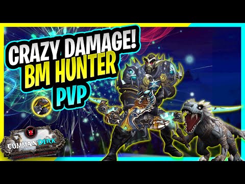 WoW - CRAZY Damage! | 10.0.5 BM Hunter | Dragonflight PvP