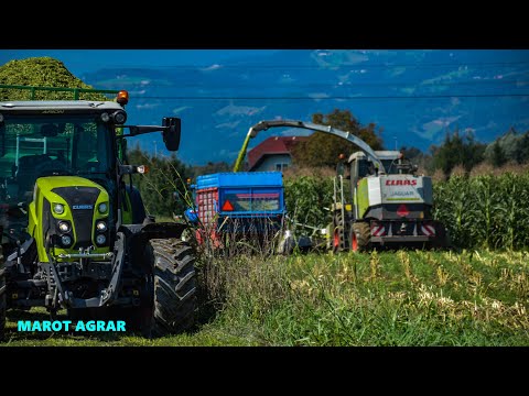 ⭐SILIRANJE KORUZE || SILAGE VON MAIS || HOČNIKAR 🌾2022 ✔