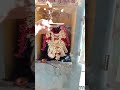 Lord Ganesha And Murugan Abhishekam 2