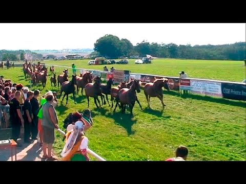 VLKino - ALBERTOVEC - Dostihový a jezdecký den 2008 - Reportáž