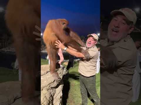 Wildlife Interaction & Animal Enrichment: Safe Play Tips