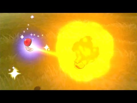 This dang shiny hunt took TOO LONG!