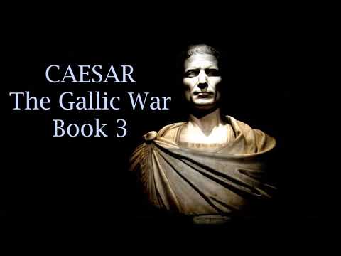 Julius Caesar's Commentaries on the Gallic War - Book 3