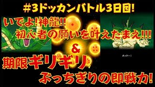 【ドッカンバトル♯３】期限ギリギリ！探しに探した願い玉♪即戦力のつえー奴等が良の仲間に！良のゆる実況日記☆Dokkan Battle