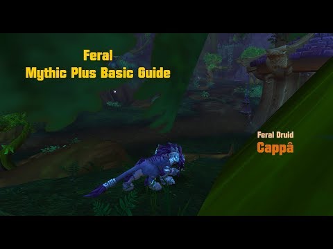 Feral Druid Guide for Mythic Plus Basics 7.3.5 [WoW] [Deutsch]