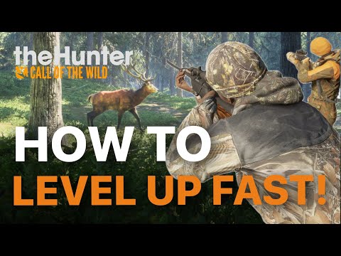 How To LEVEL UP FAST for BEGINNERS | the Hunter Call of the Wild