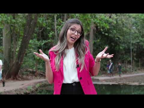 Qual vínculo você tem com sua cidade | Paula Falcão | TEDxGoiânia