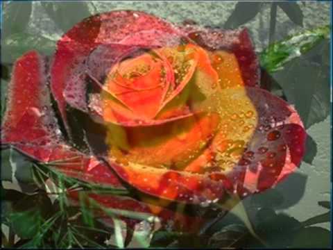 Zora Dubljević   Sjećaš li se djevo bajna !