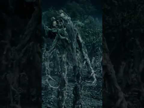 Last March Of The Ents - Lord Of The Rings