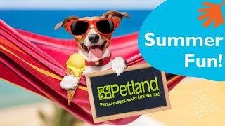 Have A Paw Some Summer 😎 | Petland Kansas City
