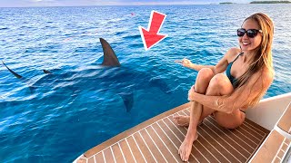 Don't Fall in the Water... BIG Sharks Circling the Boat!