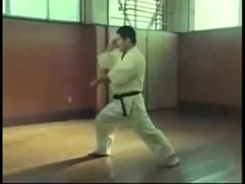 Sanseirū 三十六手 by Higaonna Morio sensei