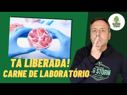 Pesquisadora Brasileira: Carne de Laboratório Autorizada Pela Primeira Vez no Mundo
