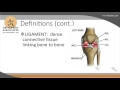 Orthopedic Associates Of Lancaster Shoulder Injuries With Dr Hyatt