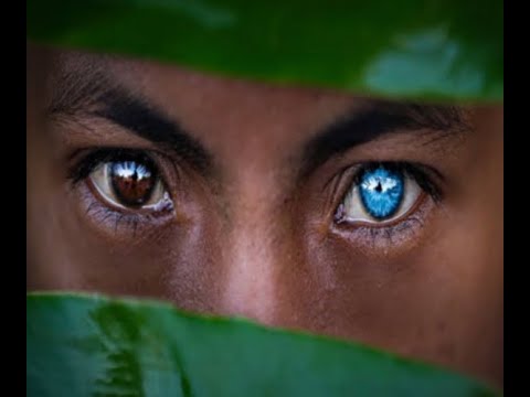 Progressive trance 2020