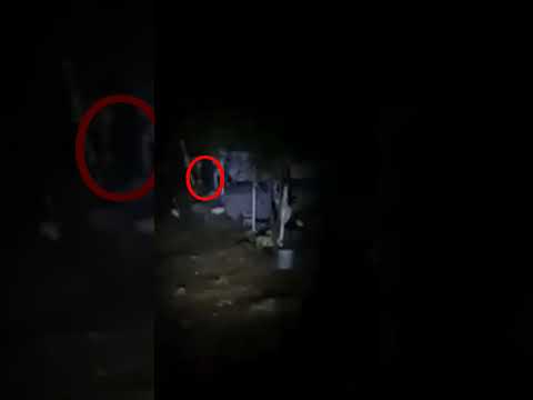 Panteón de Cerro Gordo San Juan del Río Querétaro