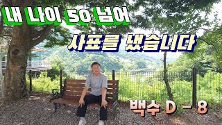 인생2막/ 이렇게 살아보기로 했습니다