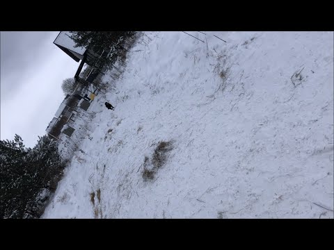 Polska zima 2021 roku - biała zima zawody w ślizgu #krokiew #krokiewka  #2020 #2000