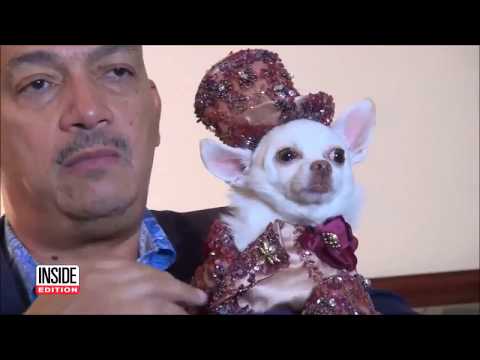 Anthony Rubio Inside Edition Interview - New York Fashion Week - Dog Fashion