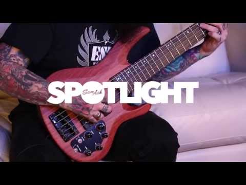ESP LTD B-1005SE 5-String Bass | Quicklook