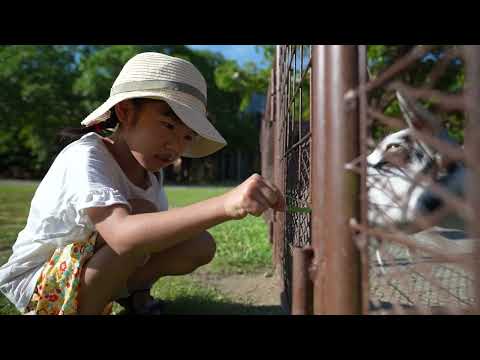 【うるまいろ】子供も大人も楽しめるテーマパーク「ビオスの丘」！園内の紹介動画（うるま市石川）_沖縄の無料動画素材