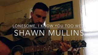 Lonesome, I Know You Too Well by Shawn Mullins