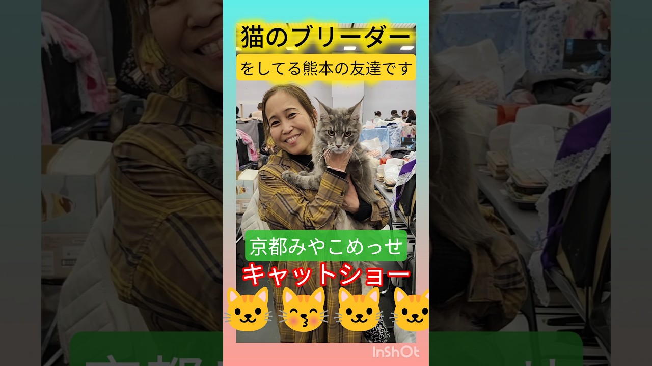 Vlog🐱キャットショー