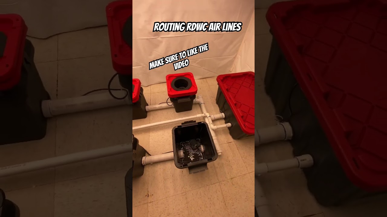 How To Run RDWC Air Lines