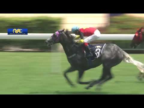 2023 06 03 Macau Meeting Race 1(0248) - THE CASTERDON (Div 2)