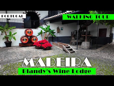 4K MADEIRA Blandy's Wine Lodge WALKING TOUR MADERA WYCIECZKA PIESZA