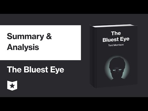 Toni Morrison Book Summary Guide