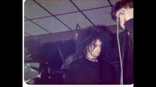 ANTISECT..LIVE 85