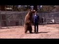 911 call Bear kills a man Warning graphic content