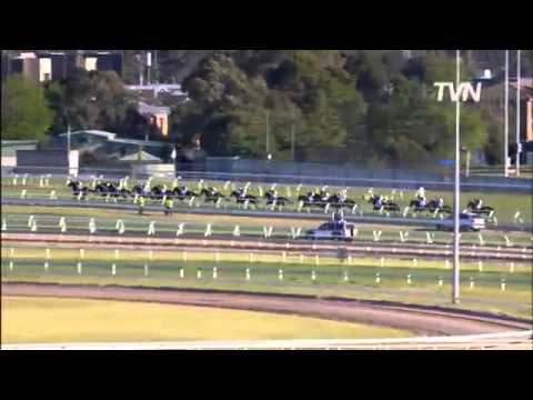 Watch Fawkner (Reset) win the G1 Caulfield Cup in Caulfield, Australia, 2013