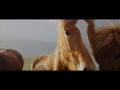 "Turning Page" - Sleeping At Last (Micro Music Video)